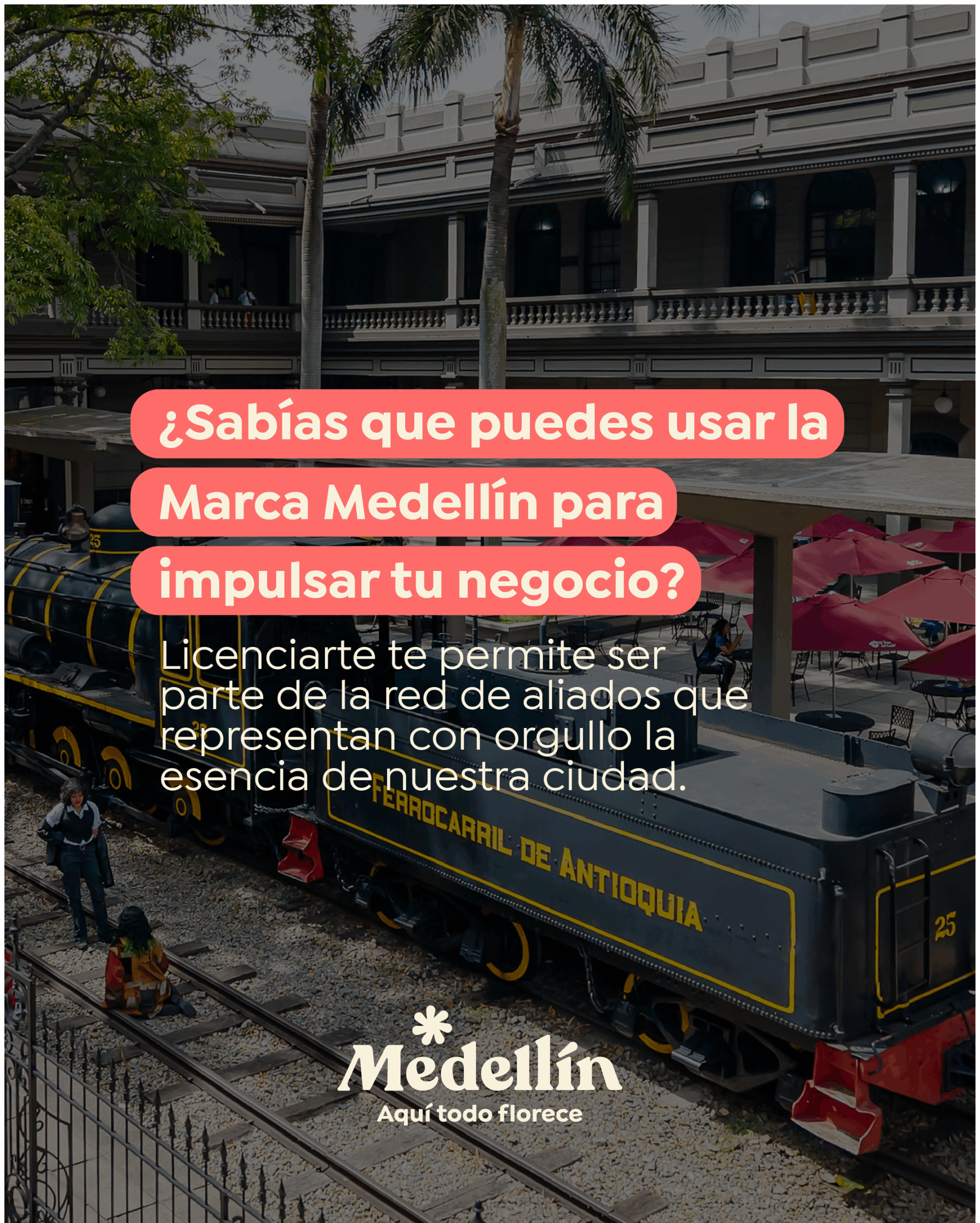 Feed marca ciudad-42